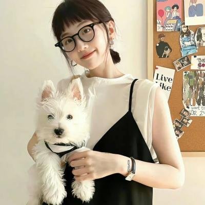 肖叮叮的剿匪记